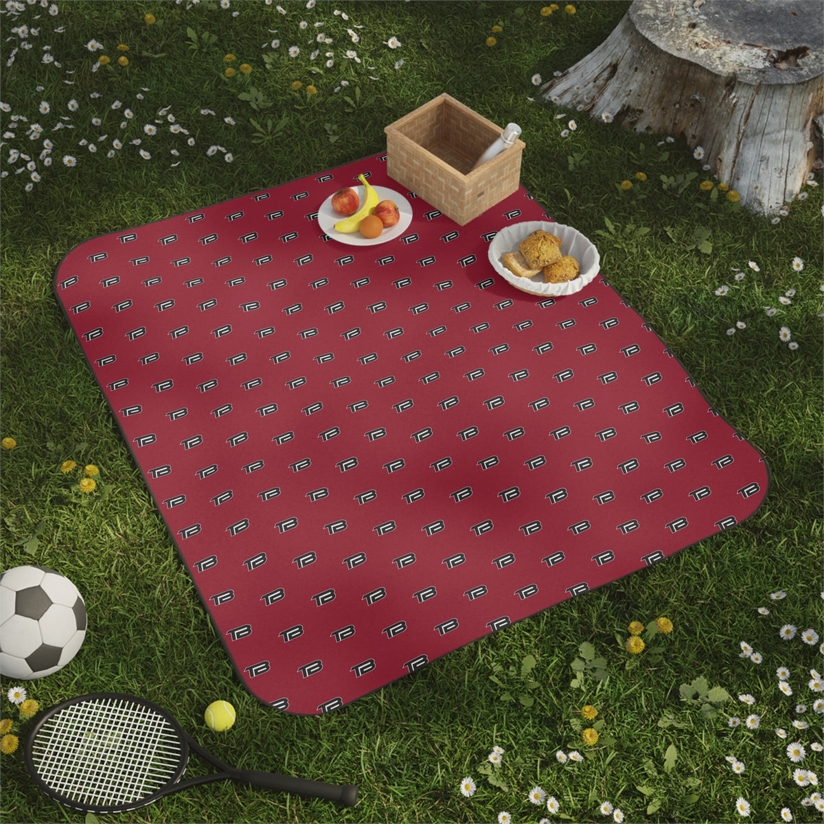 TEST Baseball | Retro Outdoor Picnic Blanket