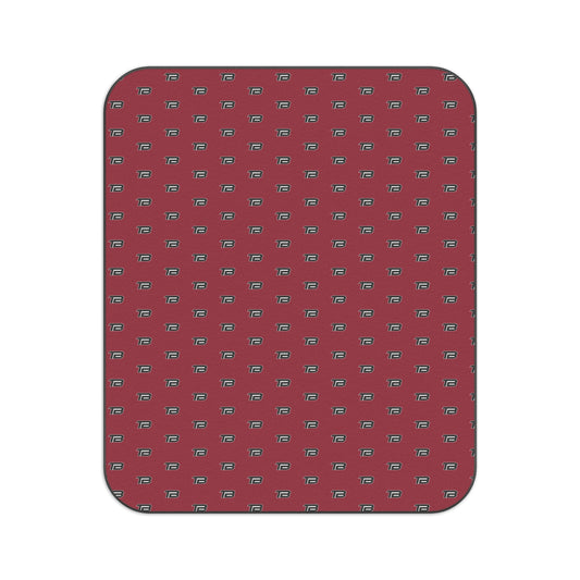 TEST Baseball | Retro Outdoor Picnic Blanket