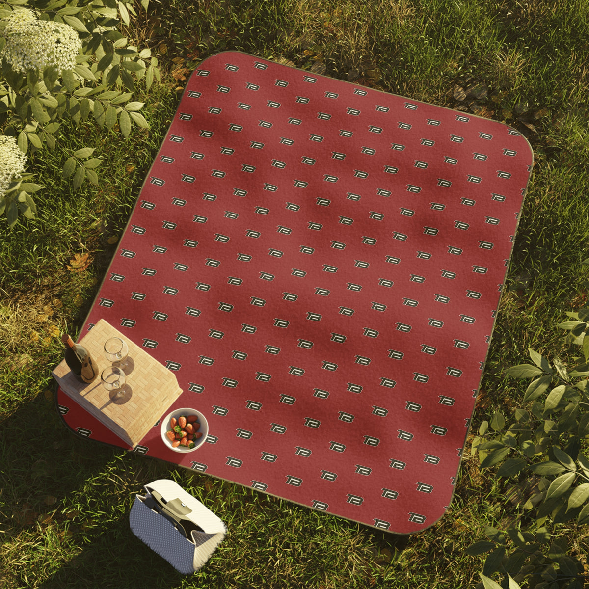 TEST Baseball | Retro Outdoor Picnic Blanket